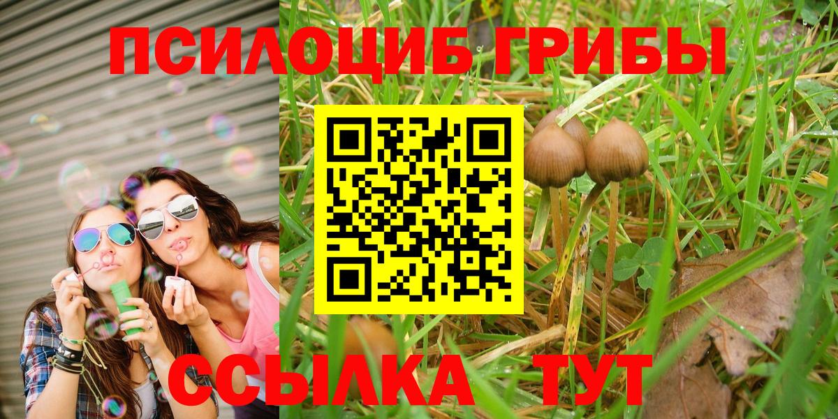 Псилоцибиновые грибы мицелий Советский